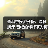 普洱茶投资分析：隔靴挠痒 曾经的标杆茶为何没落（图3）