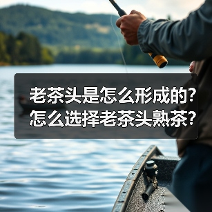 老茶头是怎么形成的?怎么选择老茶头熟茶?(图1) 老茶头是怎么形成的?怎么选择老茶头熟茶?(图1)