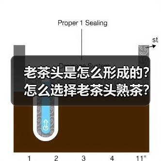 老茶头是怎么形成的?怎么选择老茶头熟茶?(图2) 老茶头是怎么形成的?怎么选择老茶头熟茶?(图2)