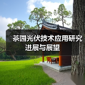 茶园光伏技术应用研究进展与展望(图2) 茶园光伏技术应用研究进展与展望(图2)