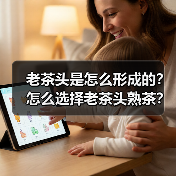 老茶头是怎么形成的?怎么选择老茶头熟茶?(图4) 老茶头是怎么形成的?怎么选择老茶头熟茶?(图4)
