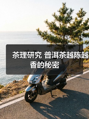 茶理研究 普洱茶越陈越香的秘密（图1）
