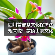 四川首部茶文化保护法规来啦!蒙顶山茶文化保护正式立法(图2) 四川首部茶文化保护法规来啦!蒙顶山茶文化保护正式立法(图2)