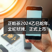 正皓茶2024乙巳蛇年，金蛇献瑞，正式上市！（图1）