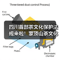 四川首部茶文化保护法规来啦!蒙顶山茶文化保护正式立法(图4) 四川首部茶文化保护法规来啦!蒙顶山茶文化保护正式立法(图4)