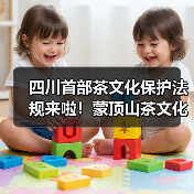 四川首部茶文化保护法规来啦!蒙顶山茶文化保护正式立法(图3) 四川首部茶文化保护法规来啦!蒙顶山茶文化保护正式立法(图3)