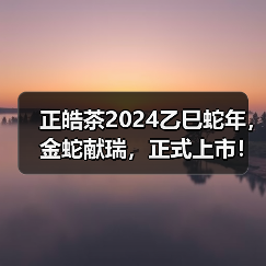 正皓茶2024乙巳蛇年，金蛇献瑞，正式上市！（图3）