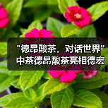 德昂酸茶，对话世界中茶德昂酸茶亮相德宏州德昂酸茶产业发展大会(图1)