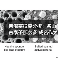 普洱茶投资分析:名山古寨茶那么多 成名作为何那么少(图2) 普洱茶投资分析:名山古寨茶那么多 成名作为何那么少(图2)