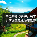 普洱茶投资分析:当下为何做正品比做赝品要难(图1) 普洱茶投资分析:当下为何做正品比做赝品要难(图1)