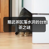 易武茶区落水洞的台地茶之谜（图2）