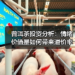 普洱茶投资分析：情绪价值是如何带来溢价率的（图1）