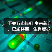 下关万市长虹 岁末新启，巳蛇将至，生肖贺岁（图3）