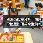 普洱茶投资分析：情绪价值是如何带来溢价率的（图2）