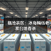 临沧茶区：冰岛糯伍老寨台地春茶（图1）