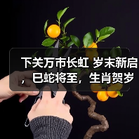 下关万市长虹 岁末新启，巳蛇将至，生肖贺岁（图4）