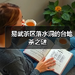易武茶区落水洞的台地茶之谜（图3）