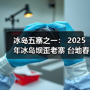 冰岛五寨之一: 2025年冰岛坝歪老寨 台地春茶(图1) 冰岛五寨之一: 2025年冰岛坝歪老寨 台地春茶(图1)
