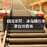临沧茶区：冰岛糯伍老寨台地春茶（图2）