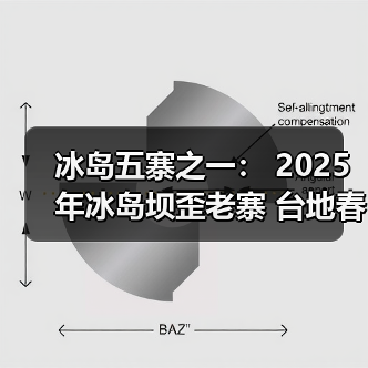 冰岛五寨之一: 2025年冰岛坝歪老寨 台地春茶(图3) 冰岛五寨之一: 2025年冰岛坝歪老寨 台地春茶(图3)