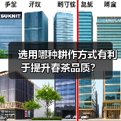 选用哪种耕作方式有利于提升春茶品质？（图1）