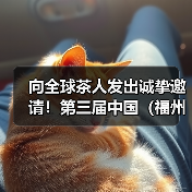 向全球茶人发出诚挚邀请！第三届中国（福州）茶叶交易会定档12月27日！（图4）