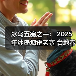 冰岛五寨之一: 2025年冰岛坝歪老寨 台地春茶(图4) 冰岛五寨之一: 2025年冰岛坝歪老寨 台地春茶(图4)