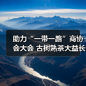 助力“一带一路”商协会大会 古树熟茶大益长城砖茶闪耀亮相(图3) 助力“一带一路”商协会大会 古树熟茶大益长城砖茶闪耀亮相(图3)