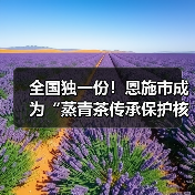 全国独一份!恩施市成为“蒸青茶传承保护核心区”!(图3) 全国独一份!恩施市成为“蒸青茶传承保护核心区”!(图3)