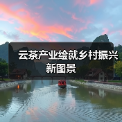 云茶产业绘就乡村振兴新图景(图2) 云茶产业绘就乡村振兴新图景(图2)