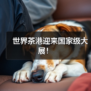 世界茶港迎来国家级大展!(图1) 世界茶港迎来国家级大展!(图1)