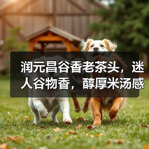 润元昌谷香老茶头,迷人谷物香,醇厚米汤感(图1) 润元昌谷香老茶头,迷人谷物香,醇厚米汤感(图1)