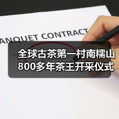 全球古茶第一村南糯山800多年茶王开采仪式:探寻千年古茶魅力,共赴春日茶韵之约(图2) 全球古茶第一村南糯山800多年茶王开采仪式:探寻千年古茶魅力,共赴春日茶韵之约(图2)