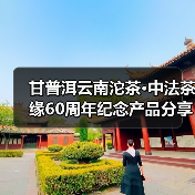 甘普洱云南沱茶·中法茶缘60周年纪念产品分享会（图4）