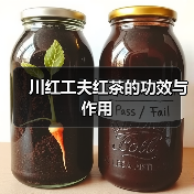 川红工夫红茶的功效与作用(图1) 川红工夫红茶的功效与作用(图1)