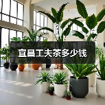宜昌工夫茶多少钱(图1) 宜昌工夫茶多少钱(图1)