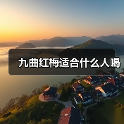 九曲红梅适合什么人喝(图3) 九曲红梅适合什么人喝(图3)