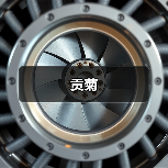 贡菊(图3) 贡菊(图3)