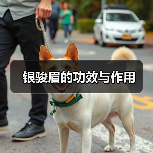 银骏眉的功效与作用（图4）
