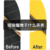 银骏眉属于什么茶类（图2）
