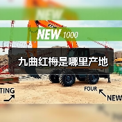 九曲红梅是哪里产地(图3) 九曲红梅是哪里产地(图3)