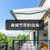 青城雪芽的由来(图1) 青城雪芽的由来(图1)