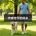 青城雪芽的由来(图3) 青城雪芽的由来(图3)