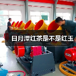 日月潭红茶是不是红玉(图4) 日月潭红茶是不是红玉(图4)