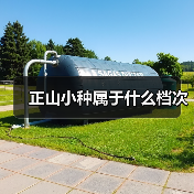 正山小种属于什么档次(图1) 正山小种属于什么档次(图1)