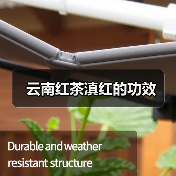 云南红茶滇红的功效(图2) 云南红茶滇红的功效(图2)
