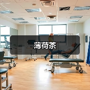 薄荷茶(图3) 薄荷茶(图3)