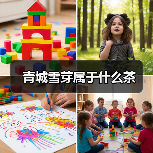 青城雪芽属于什么茶(图3) 青城雪芽属于什么茶(图3)
