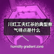 川红工夫红茶的典型香气特点是什么（图1）