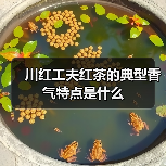 川红工夫红茶的典型香气特点是什么（图3）
